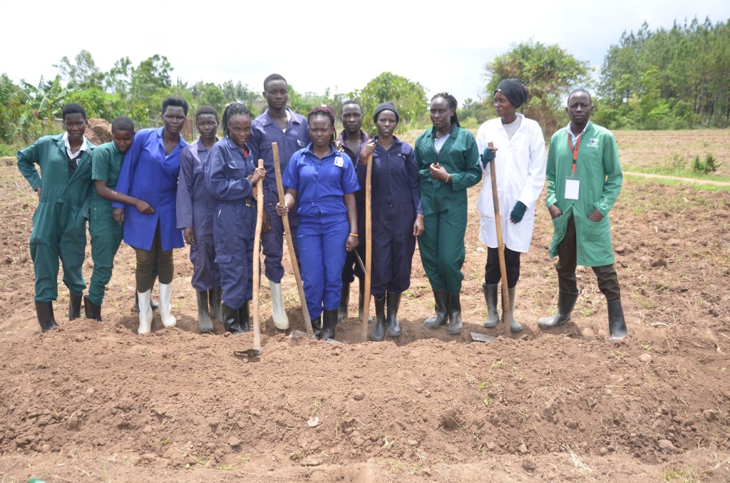 Golden Study Opportunities at FIMAT